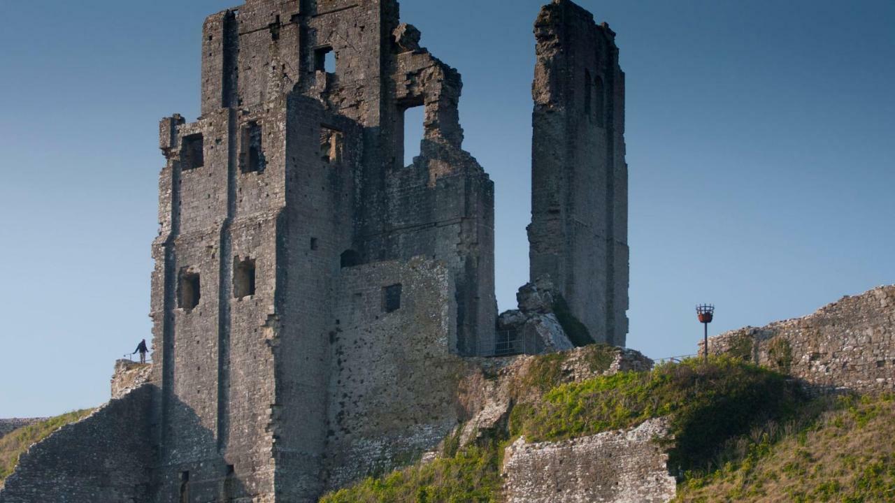 Ammonite Bed & Breakfast Corfe Castle Exterior foto